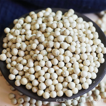 pureza sopa de gránulos de pimienta blanca especias calientes